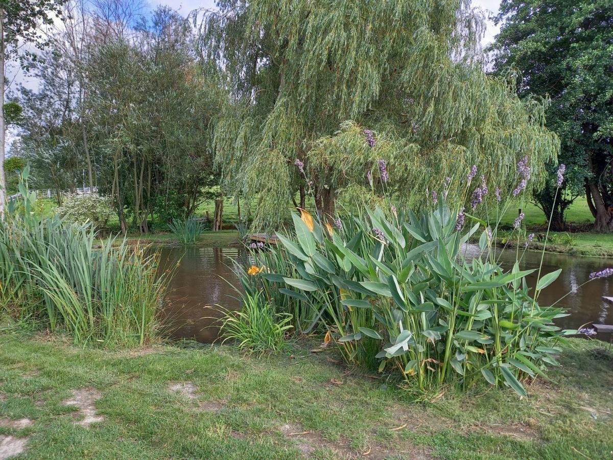 La Gasteboisiere With Swimming Pool And Games Room Le Mesnil-Adelee Bagian luar foto